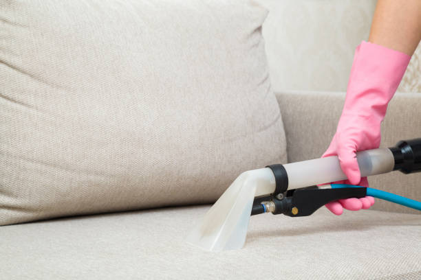 Why Upholstery Cleaning in Houston Is Essential for a Healthier and More Comfortable Home