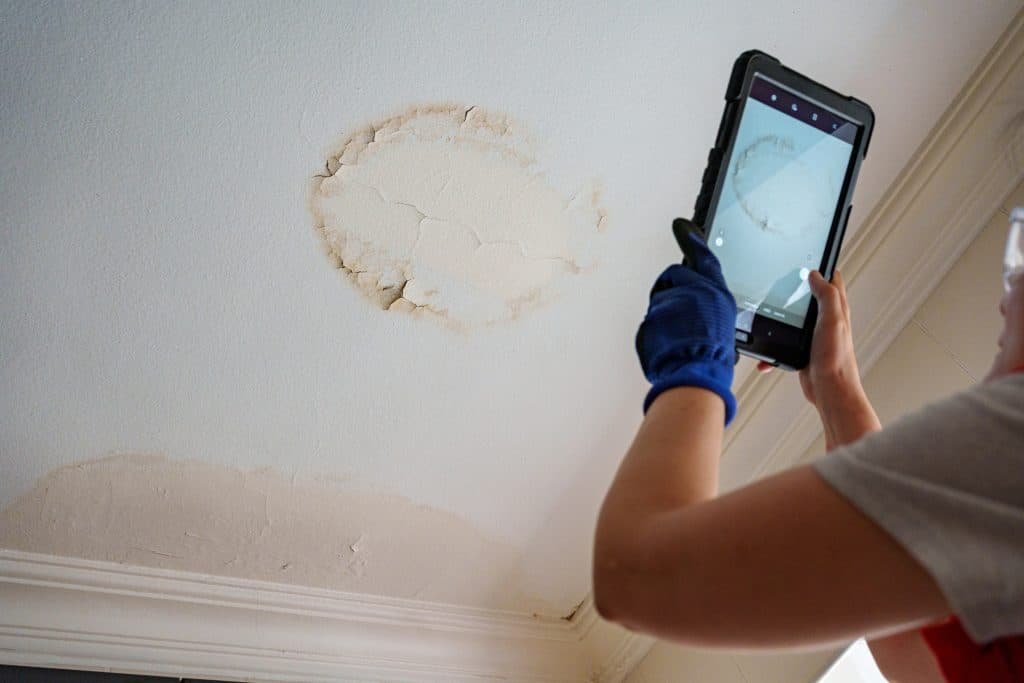 Ceiling Stains and Damp Bedrooms: What Your Bristol Roof Is Telling You